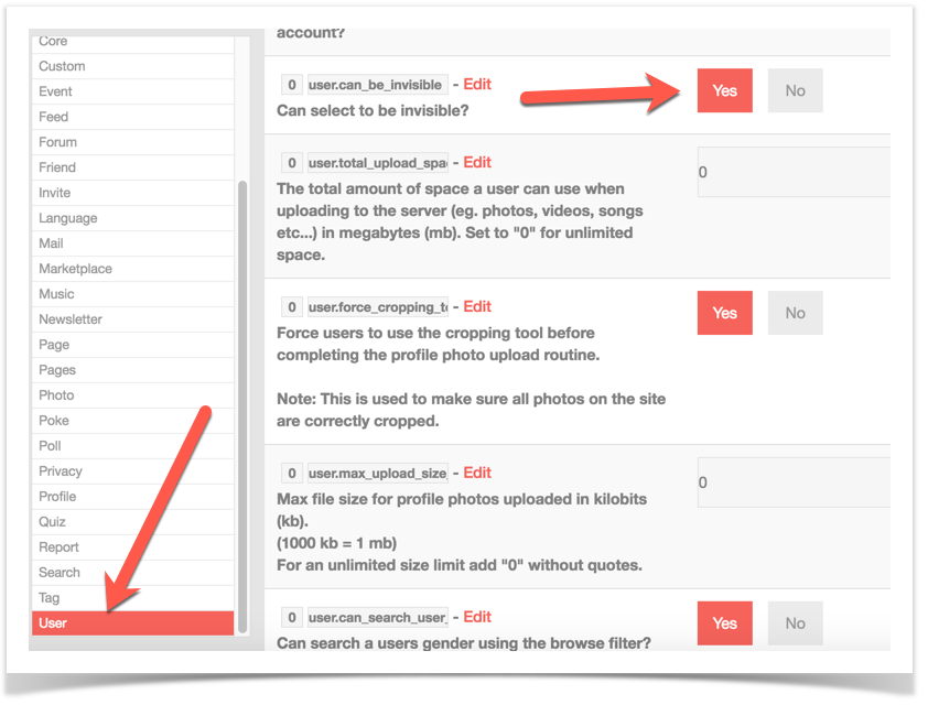 phpFox 4 User Manual > Enabling User Invisibility > admin invisible1.png