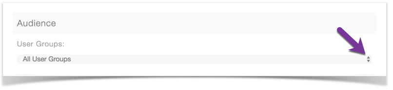 Archived Docs > Adding and Managing Newsletters > newsletter audien.png