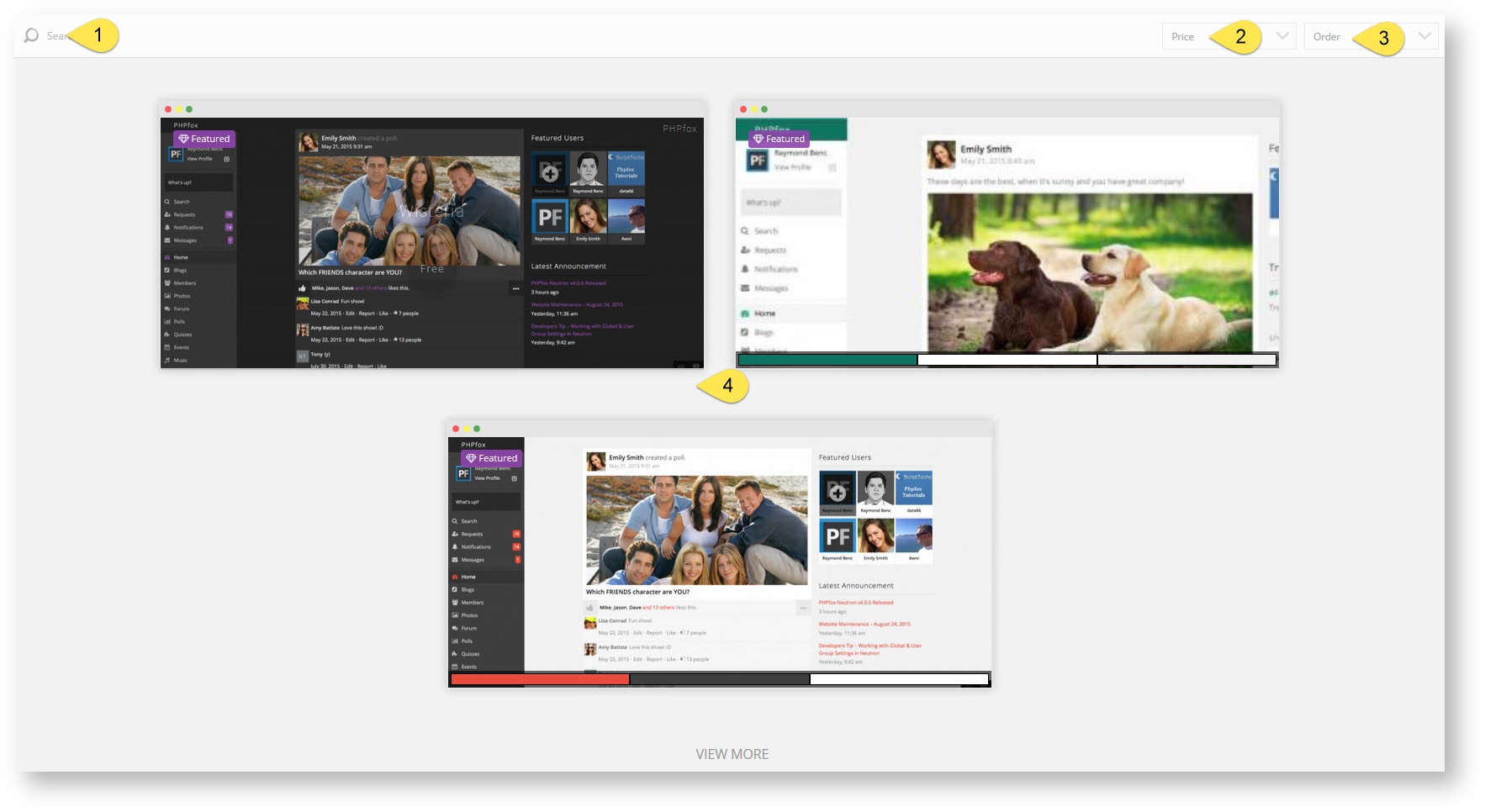 phpFox 4 User Manual > Adding a Theme > choose theme.jpg